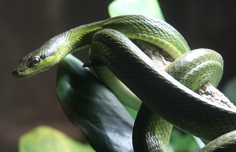 Enemistad Entre el Hombre y Satanás