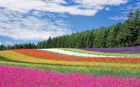 Por Qué Dios Demora sus Promesas