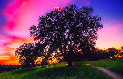 Por Qué Dios No Actúa en Nuestras Vidas Como Quisiéramos