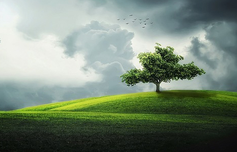 Cuáles Son los Milagros Mentirosos de los Que Habla la Biblia