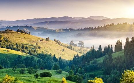 Cómo Explicar el Origen de la Vida